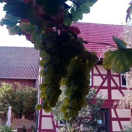 Apartment Haselbachstrasse 6