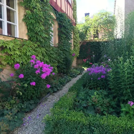 Haselbachstrasse 6